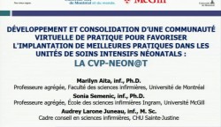 conference-developpement-et-implantation-une-communaute-virtuelle-de-pratique-pour-favoriser-implantation-des-meilleures-pratiques-dans-les-unites-de-soins-intensifs-neonatals-la-cvp-neon-ton