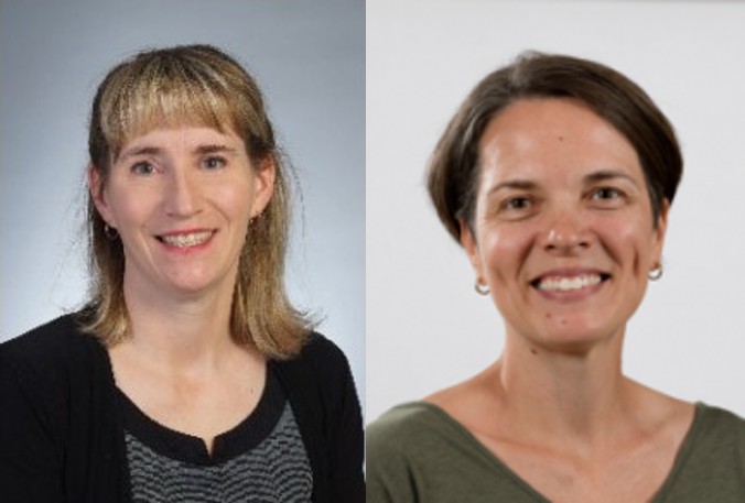 nouveaux-membres-comite-de-direction